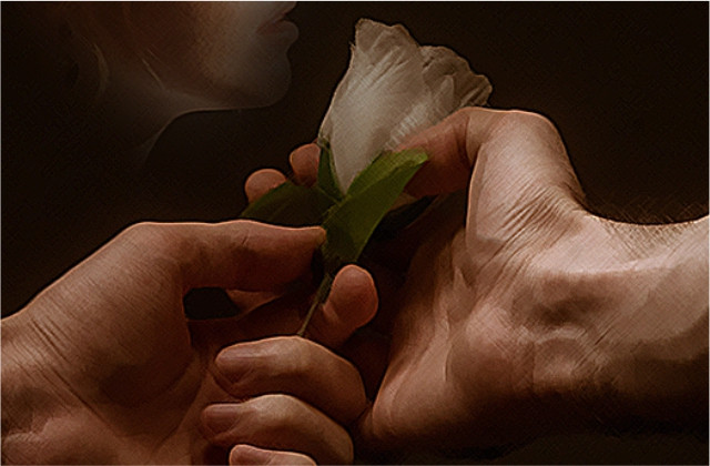 imagen libro